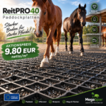 ReitPRO 40 Paddockplatten für Pferde – stabile Reitwege und Paddockbefestigung