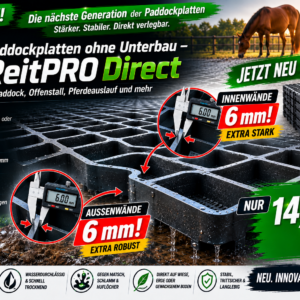 Paddockplatten ohne Unterbau ReitPRO Direct 40 für Pferde