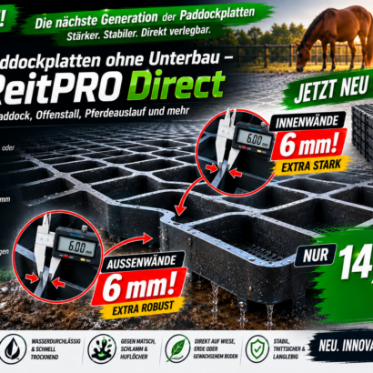 Paddockplatten ohne Unterbau ReitPRO Direct 40 für Pferde